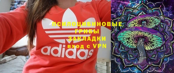 хмурый Алексеевка