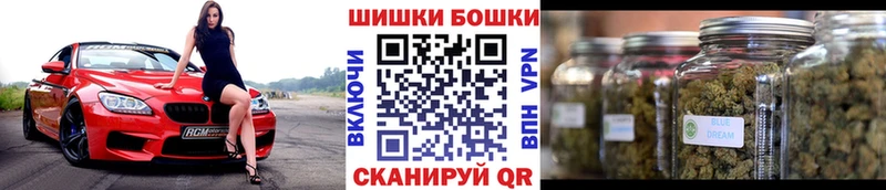 МАРИХУАНА конопля  darknet наркотические препараты  Кологрив  где купить наркотик  МЕГА ССЫЛКА 